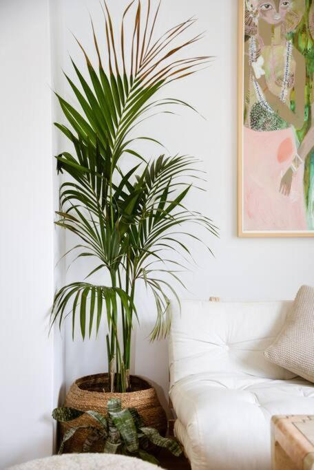Mini Condo 2 Dl - Studio With A Private Patio ดอนยาลาสวา ภายนอก รูปภาพ